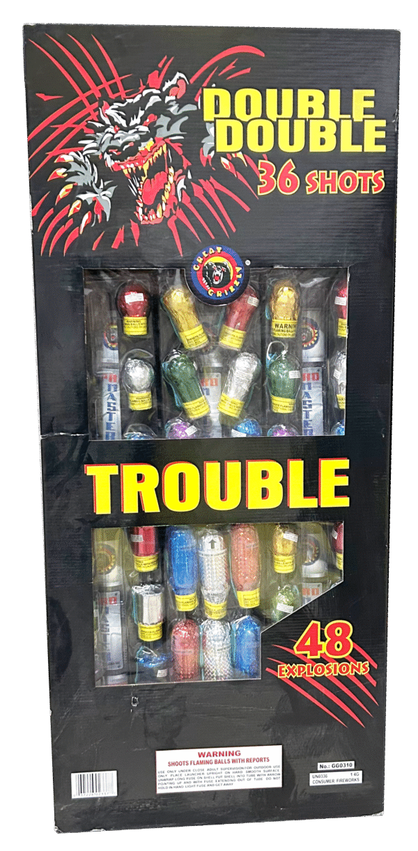 DOUBLE TROUBLE