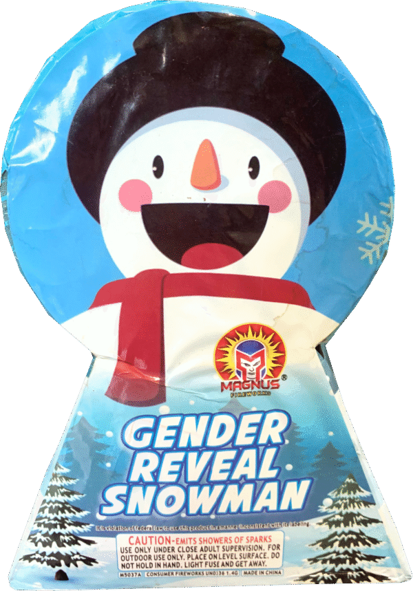 GENDER REVEAL SNOWMAN