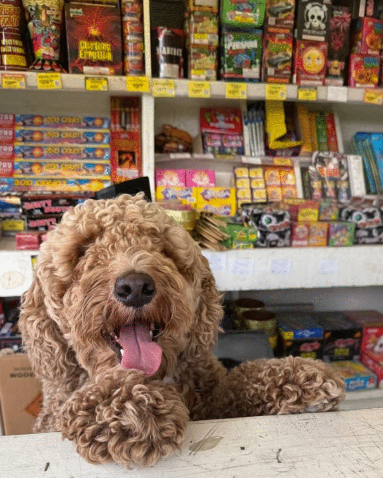 Alamo Fireworks Crestway products